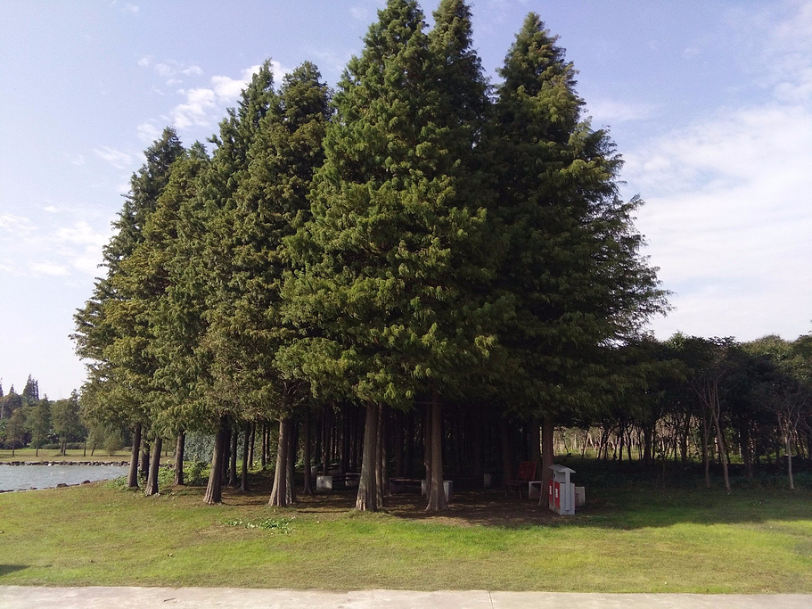 公司團(tuán)建行者拓展推薦丨崇明島國家地質(zhì)公園